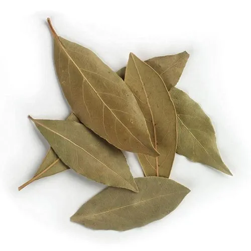 tej-patta-tamalpatra-bay-leaves-armasale